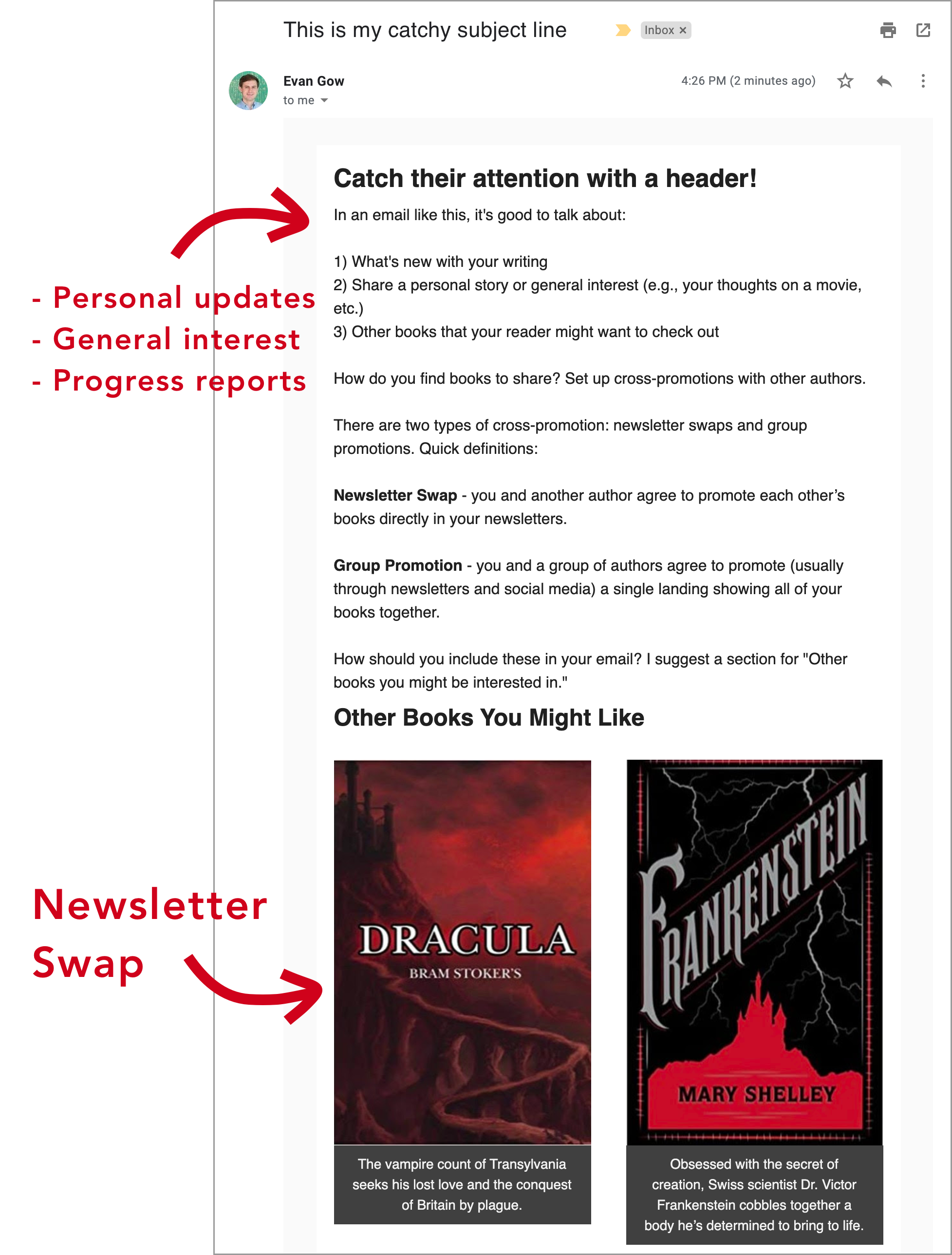 example newsletter showing a swap promo